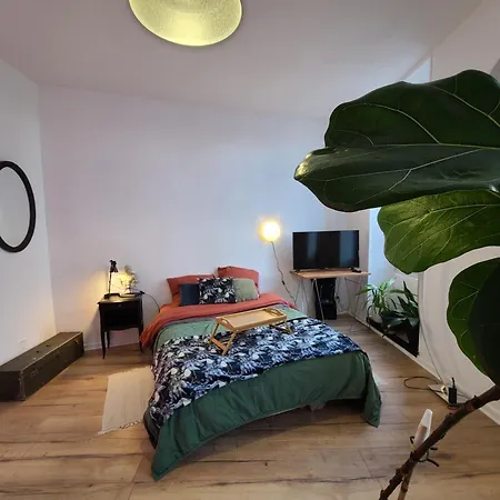 Apartamento Lumineux Avec Parking Gratuit - Proche Viarhona Tournon-sur-Rhone