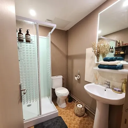 Le Passage Des Tours Et Parking Gratuit Proche Viarhona Appartement *